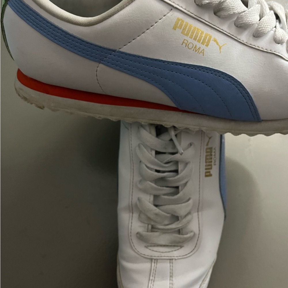 Puma - Picture 3 of 4